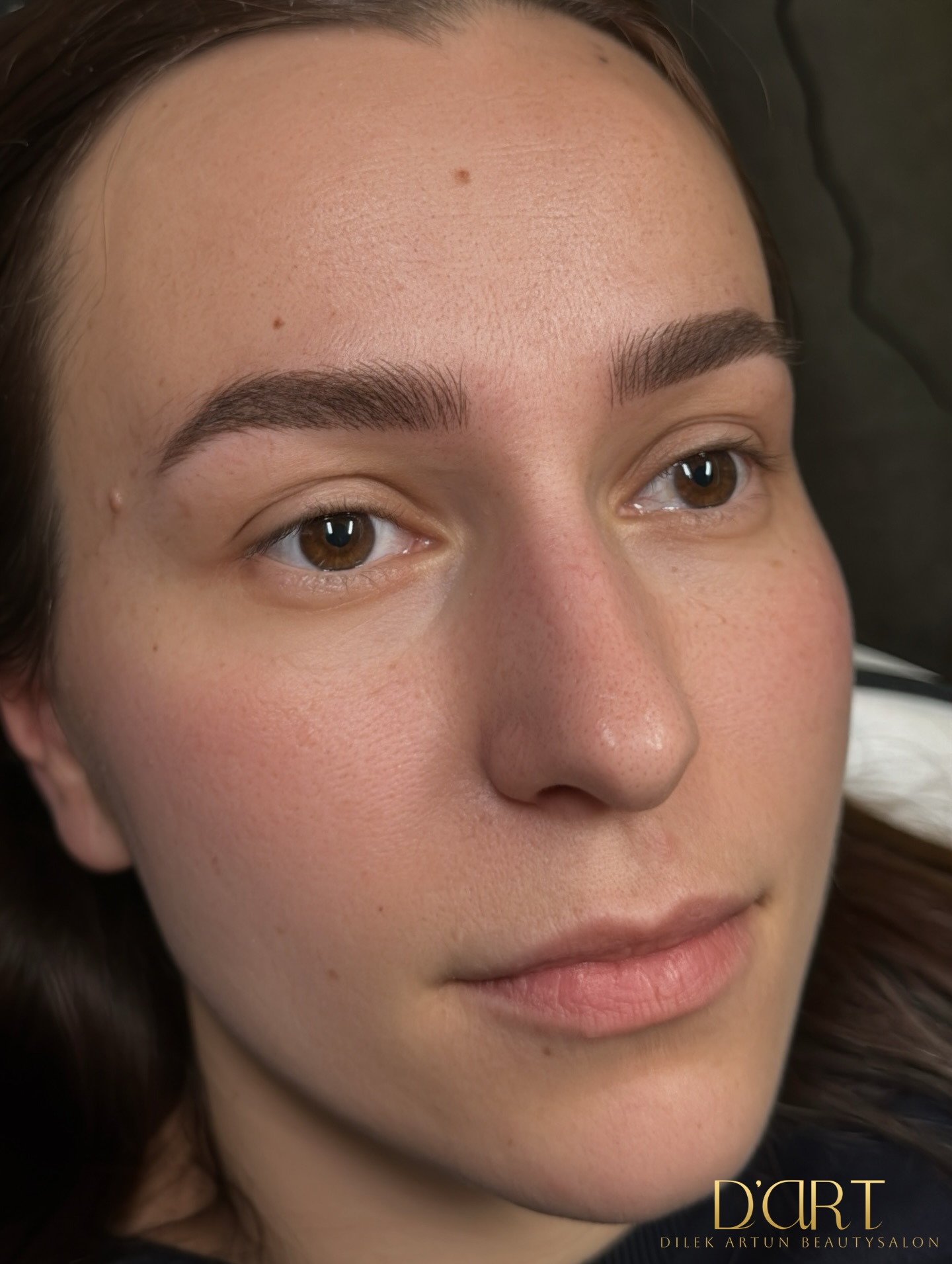 Natürliches Permanent Make-up der Augenbrauen, gestaltet im Dilek Artun Beautysalon in Wien